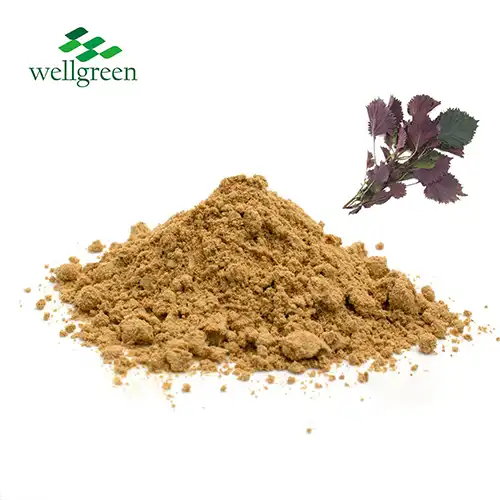 Perilla Leaf Extract